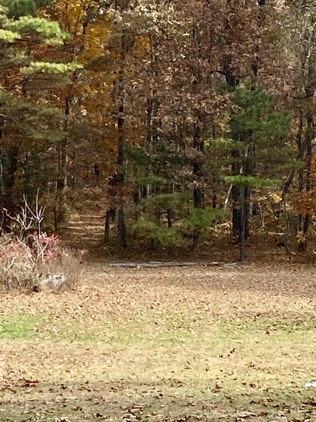 259 Brandontown Rd, Manchester, TN 37355 - photo 4