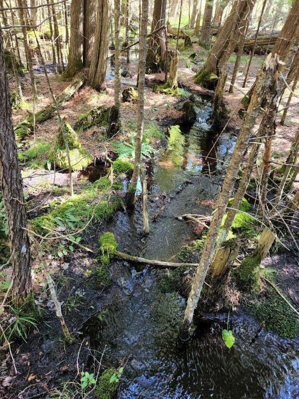 160 A Saint Ignace Rd unit 160 A, Hessel, MI 49745 - photo 6