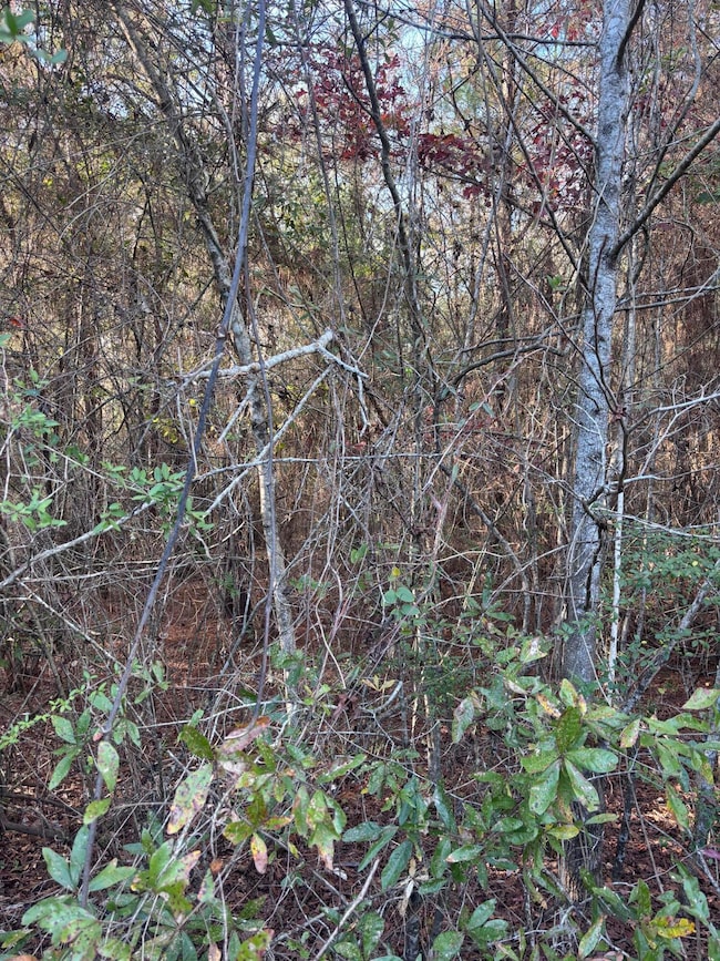 00 Williams Cutoff, Sumrall, MS 39482 - photo 4