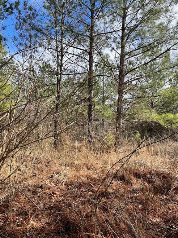 680 Timber Creek Trails South XI, Broken Bow, OK 74728 - photo 4