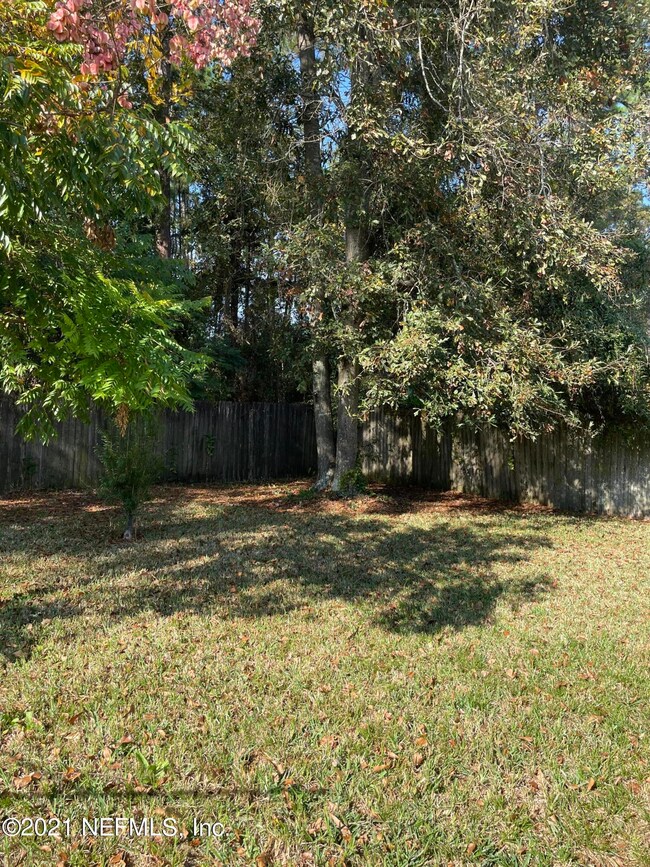 4172 Davie Ct, Jacksonville, FL 32210 - photo 6