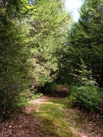 0 Tolman Rd, Harrison, ME 04040 - photo 4