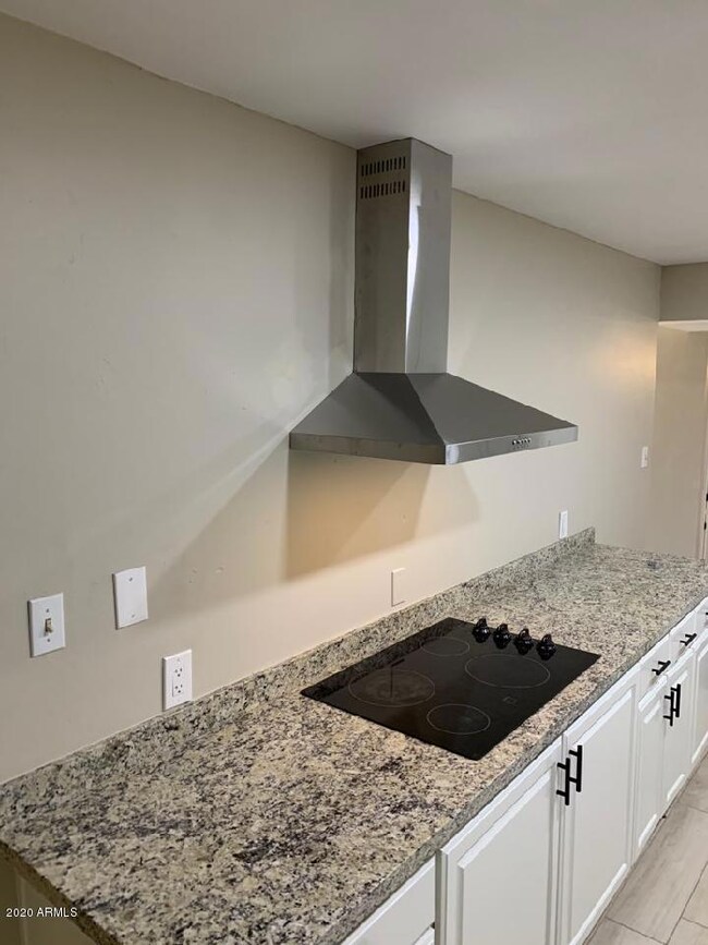 Designer Hood Vent