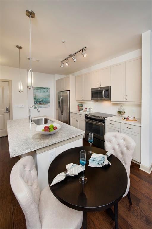 Kitchen with stainless steel appliances, dark hardwood / wood-style flooring, rail lighting, and sink