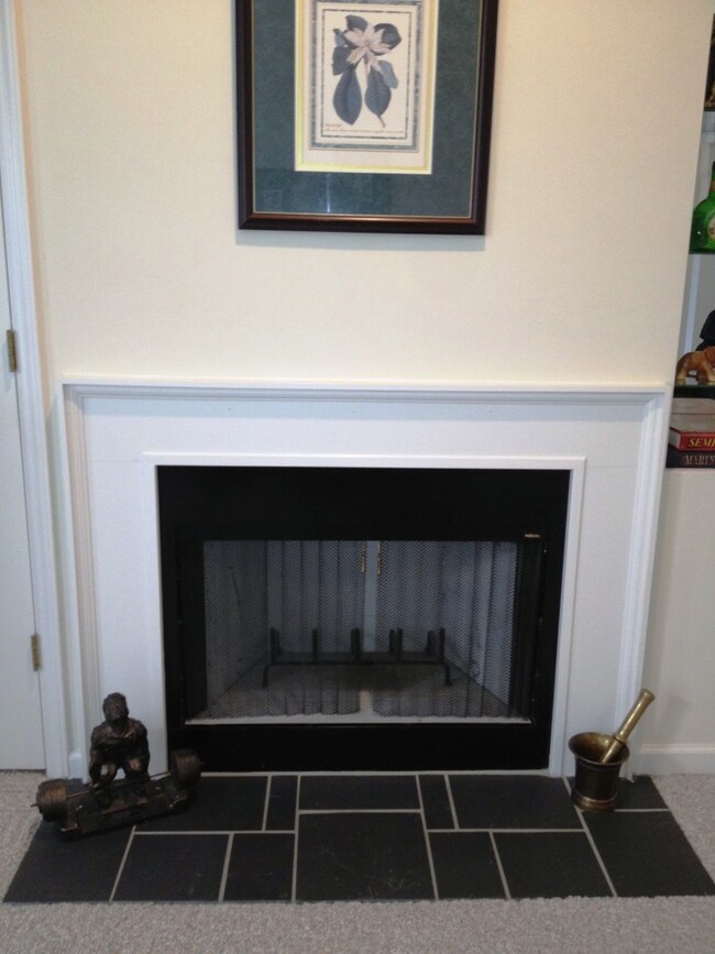 Fireplace Close Up