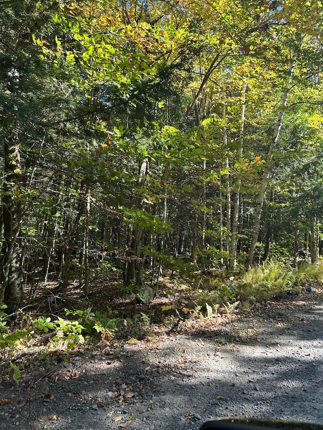 M6L16-12-3 Beaver Brook Rd, Bowerbank, ME 04426 - photo 5