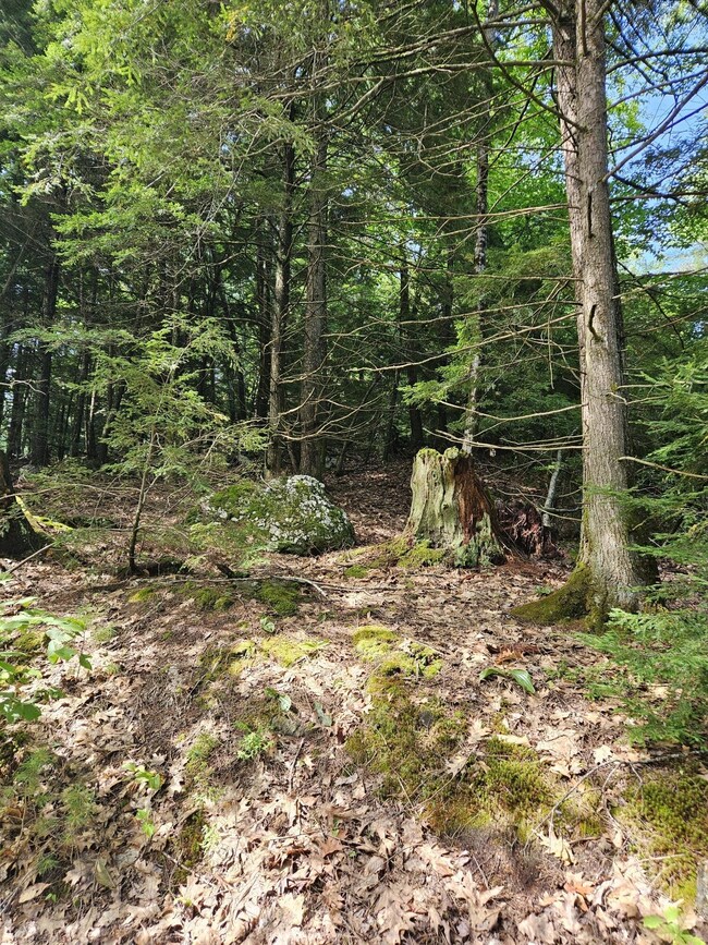 0 Hebo Hybo Rd, Acton, ME 04001 - photo 3