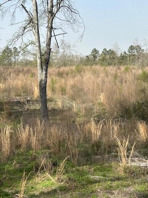 0 Baggett Rd, Deridder, LA 70634 - photo 4