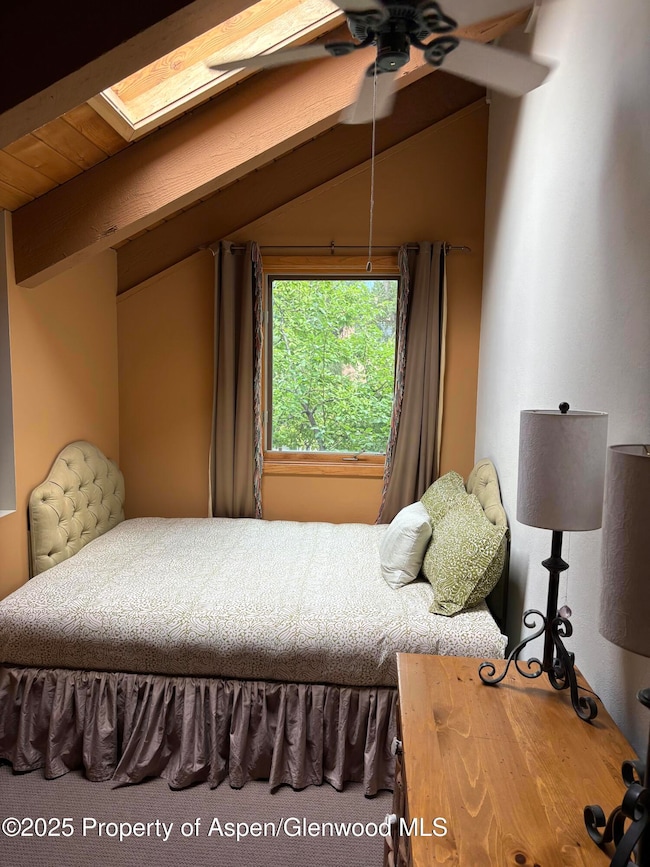 125 E Hyman Ave unit 1, Aspen, CO 81611 - photo 7