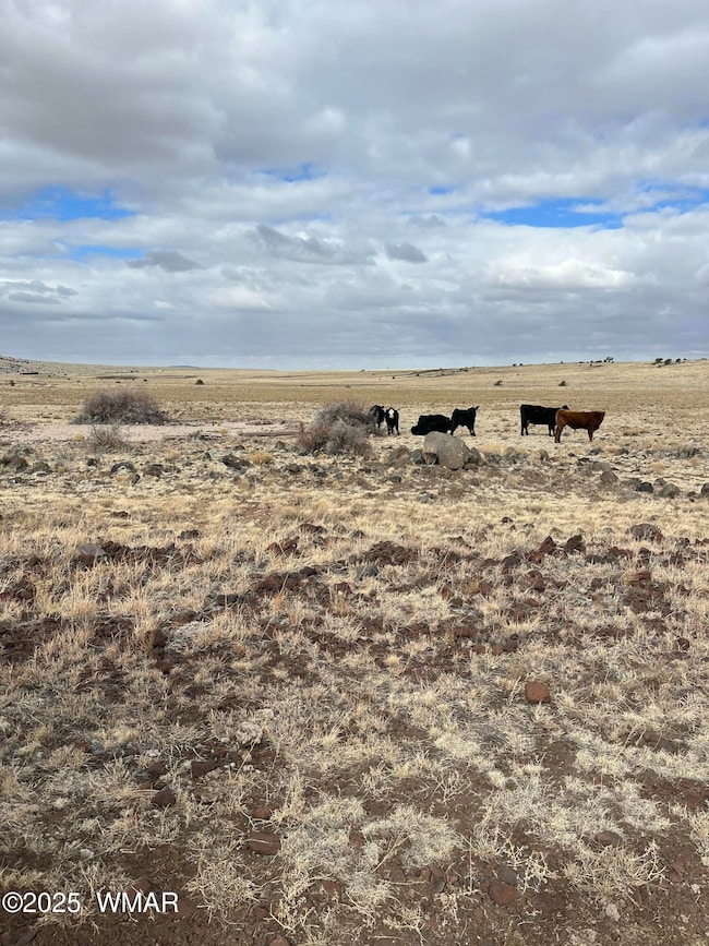 500 N3540, Concho, AZ 85924 - photo 2