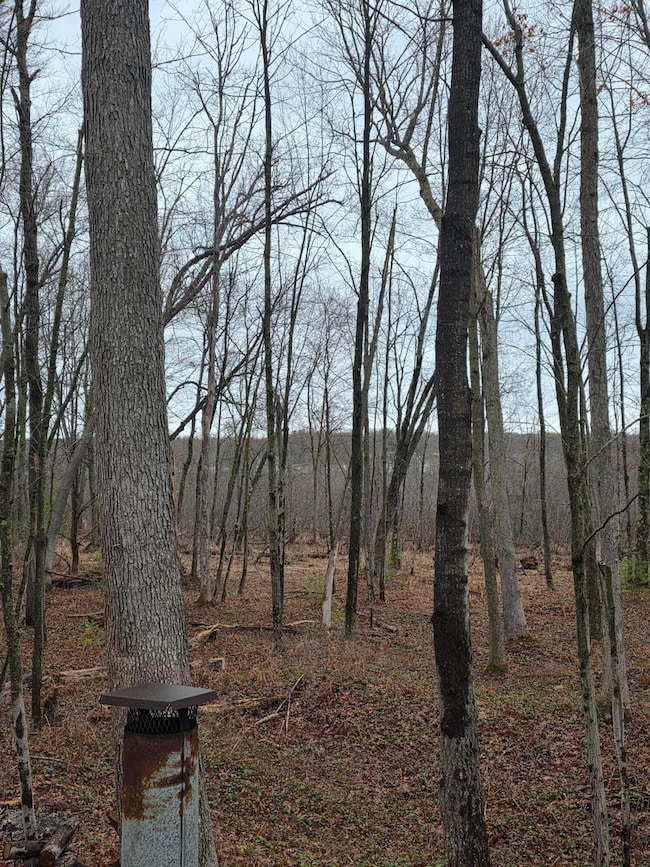 0 V/L N Hunters Way, Monroe Township, MI 49349 - photo 6