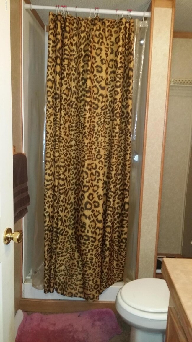 1572 Kelsey Hwy, Ionia, MI 48846 - photo 5