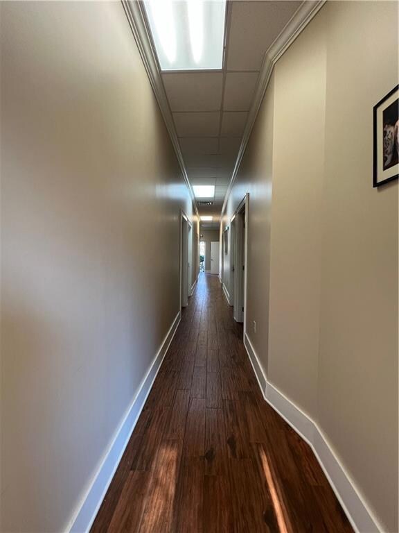 Common Hallway