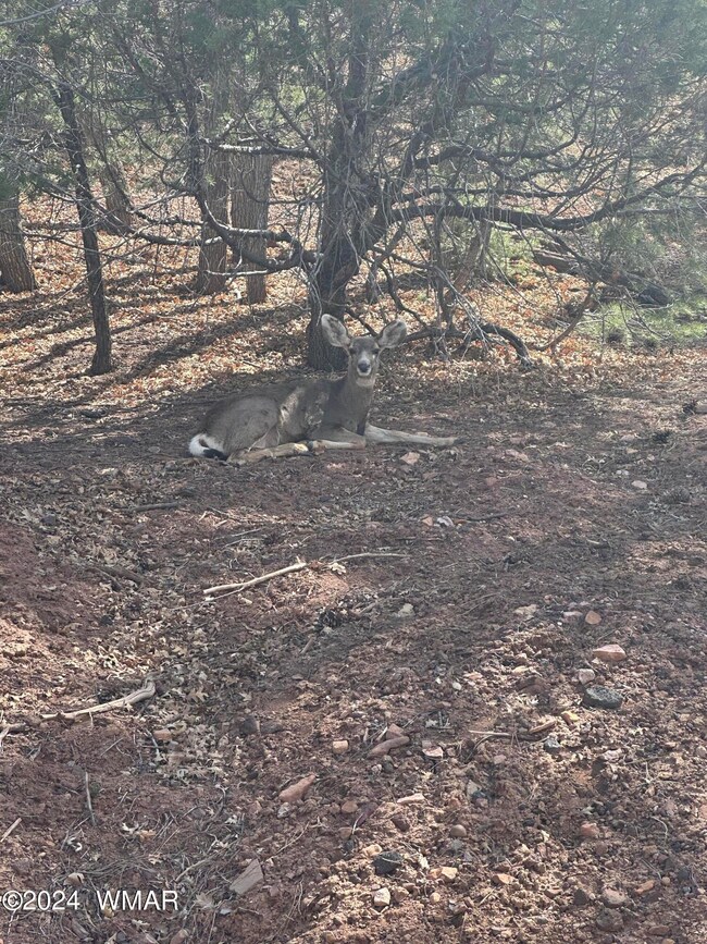 IMG_4626_Current Property Owner