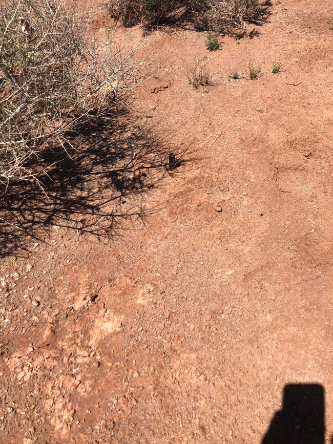 880 Marauder Rd, Winslow, AZ 86047 - photo 5