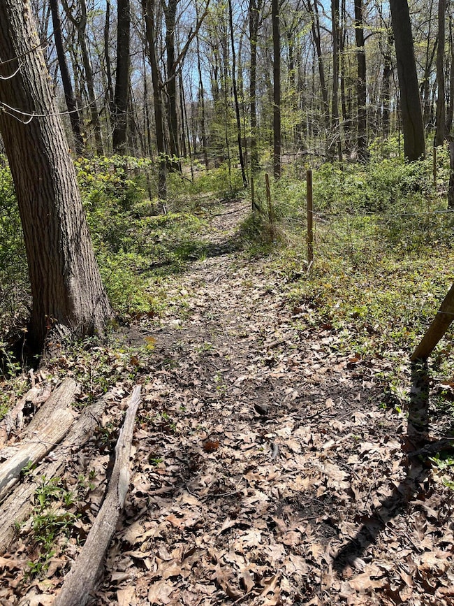 Sping Walk