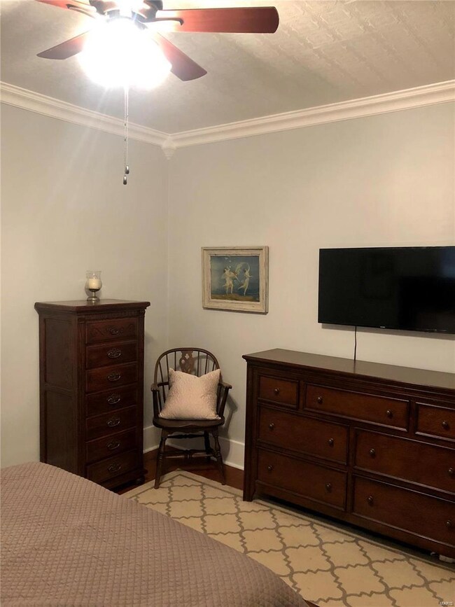 2101 Herbert St, Murphysboro, IL 62966 - photo 7