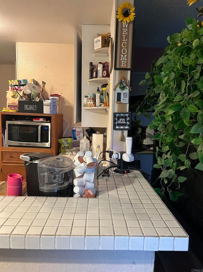 850 Via Tonga Ct, San Diego, CA 92154 - photo 6