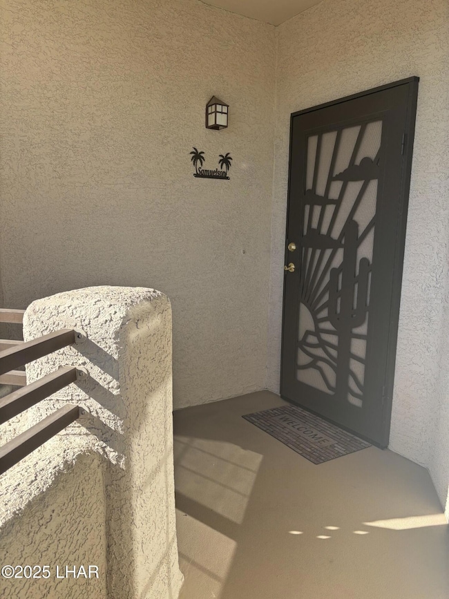 Scenic Security Door