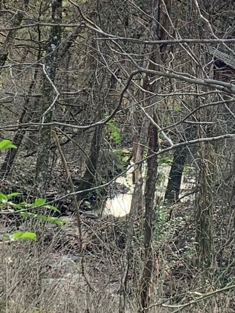 0 McCord (Cr 40) Rd, Elkins, AR 72727 - photo 7