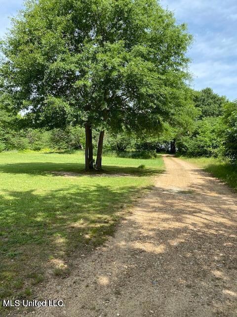 3521 Horn Lake Road 2