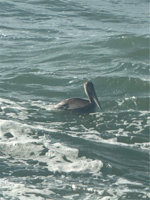 15002 Windward Dr, Corpus Christi, TX 78418 - photo 7