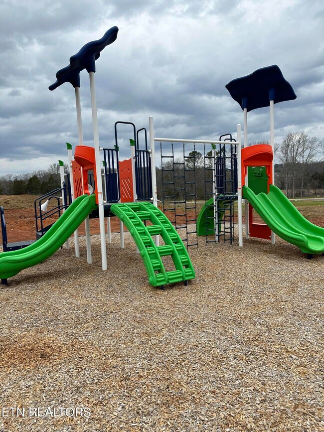 7727 Honey Oaks Rd, Corryton, TN 37721 - photo 5