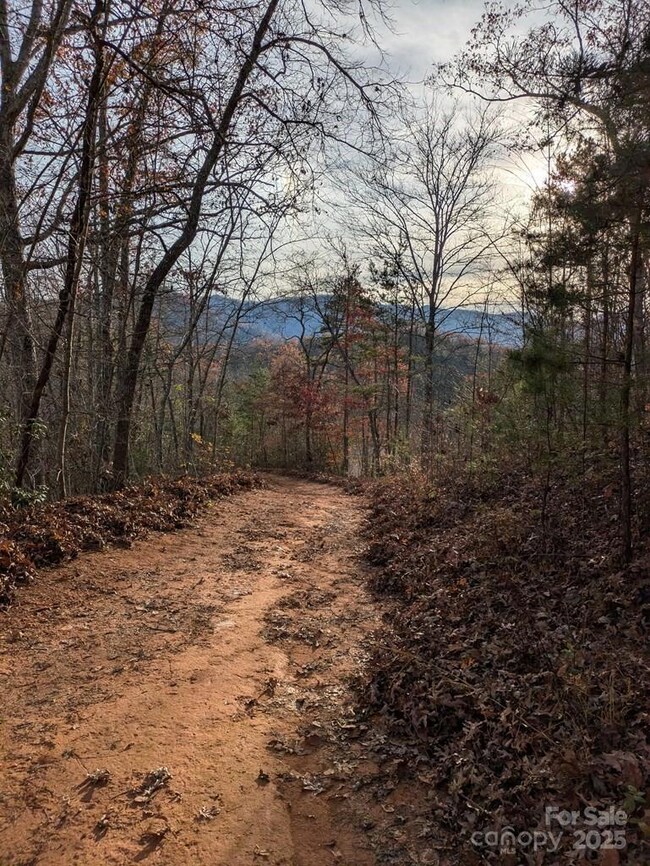 00 Sutton Branch Rd, Sylva, NC 28779 - photo 5