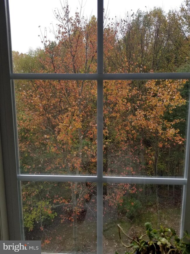 6016 Mill Cove Ct, Burke, VA 22015 - photo 6