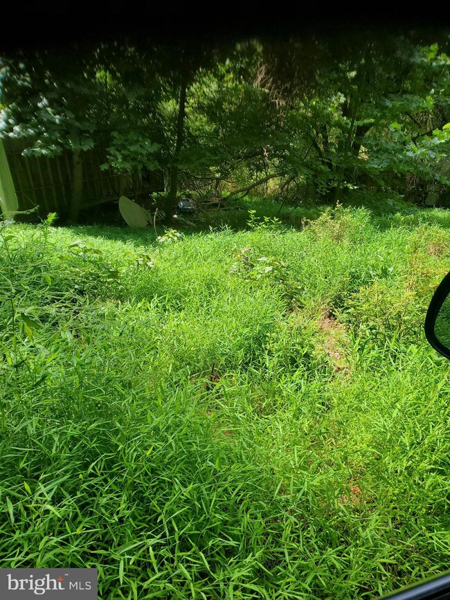 1344 Hoffmaster Rd, Knoxville, MD 21758 - photo 7