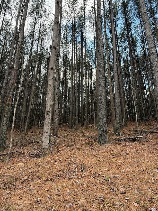 0 Birds Eye Way unit 1519145, Guild, TN 37340 - photo 4