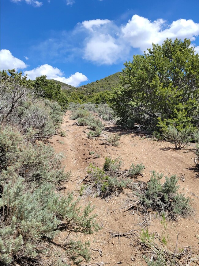 0 Michaels Rd unit 25558753, Fort Garland, CO 81133 - photo 2