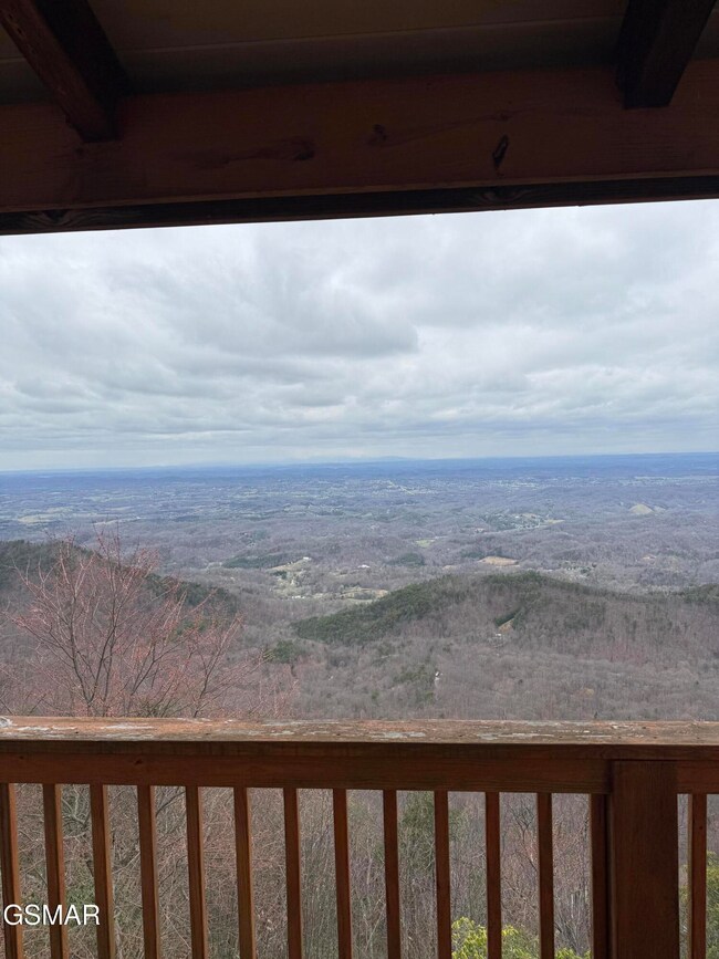 Views from the back porch