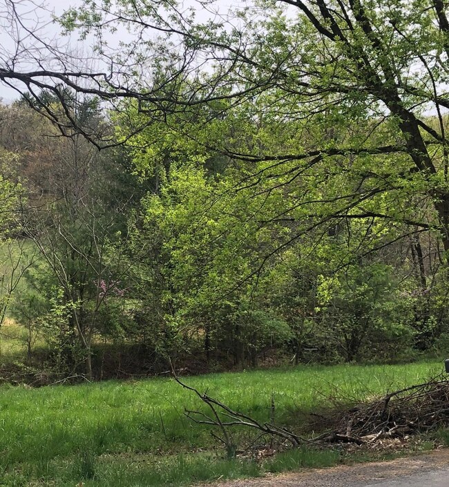 0 Harborwood Rd, Salem, VA 24153 - photo 4