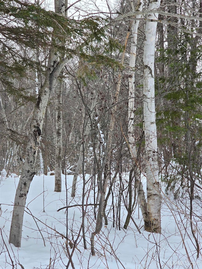 TBD Electric Park Rd, Calumet, MI 49913 - photo 5