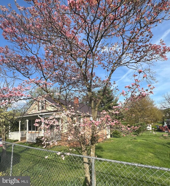 1124 Purcell Ln, Winchester, VA 22603 - photo 4