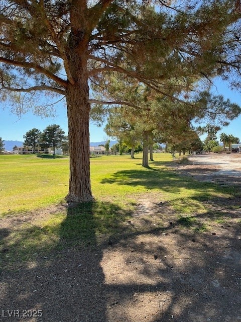 View of golf course