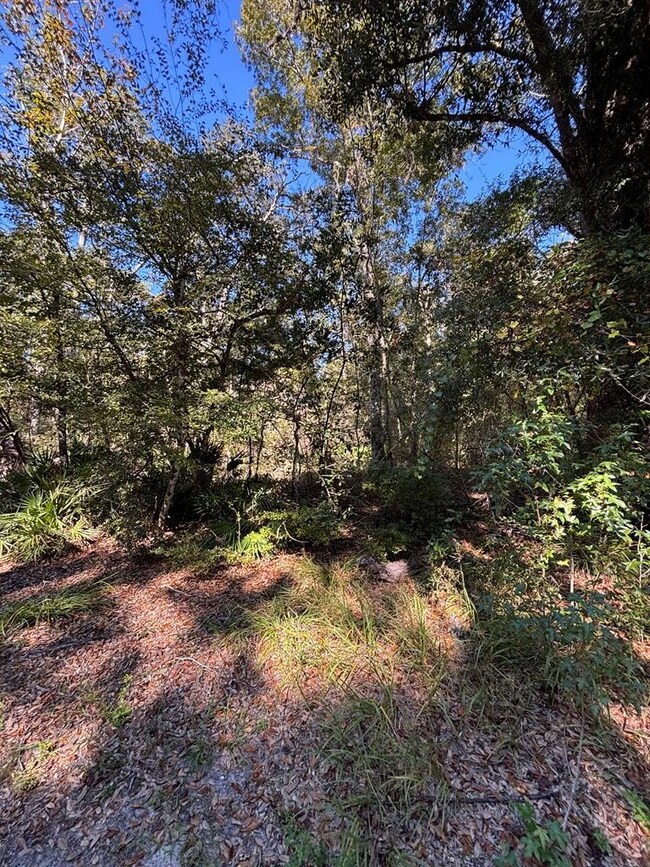 Lot 3 SE 843rd St, Old Town, FL 32680 - photo 4