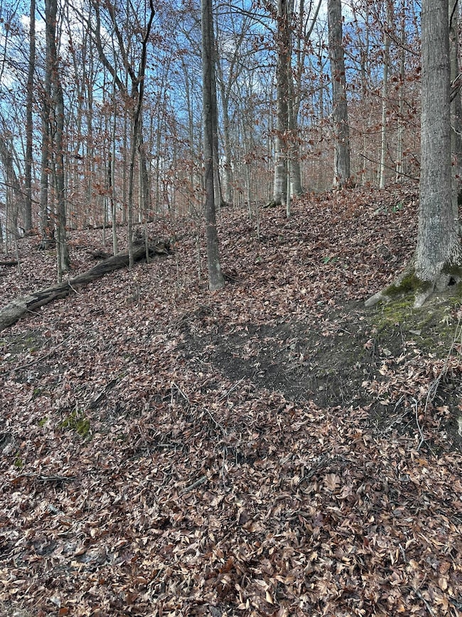 TBD N Fork Rd, Patsey, KY 40380 - photo 2