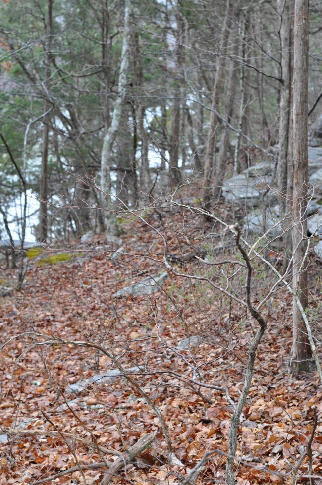 Lot 35 1 Pl Coyler Rd, Somerset, KY 42503 - photo 4