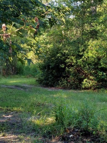 36 Clifton Seal Rd, Picayune, MS 39466 - photo 2