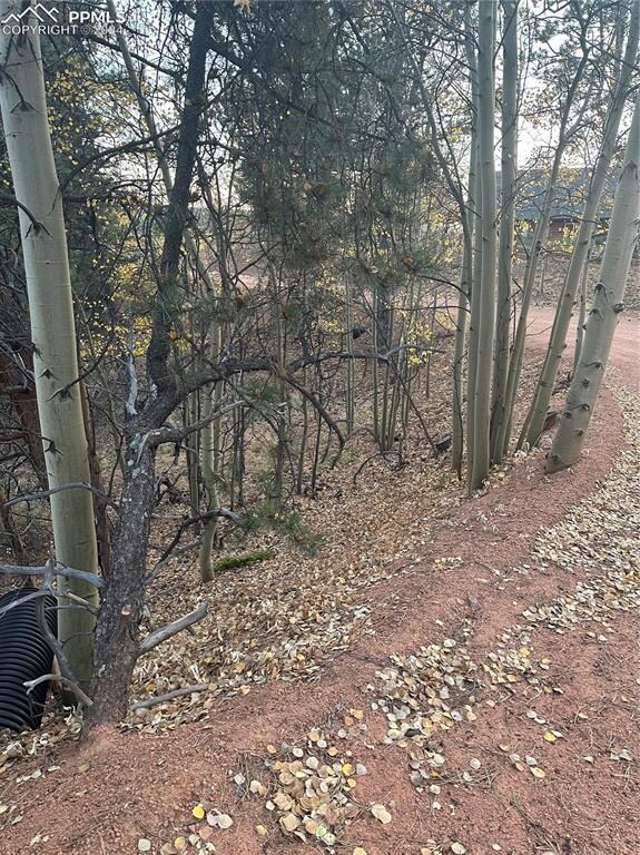 418 Valley Rd, Divide, CO 80814 - photo 4