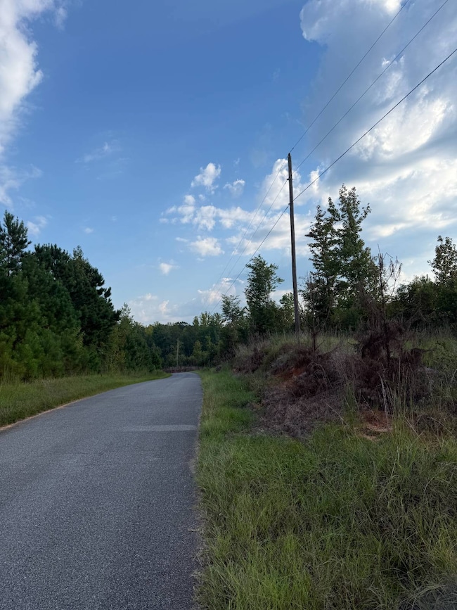 9230 Blizzard Rd, Meridian, MS 39305 - photo 6