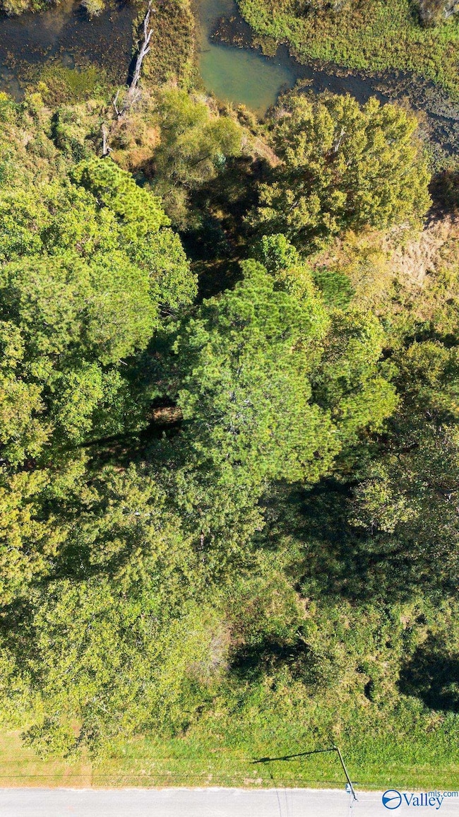 142 Easy St, Hazel Green, AL 35750 - photo 3