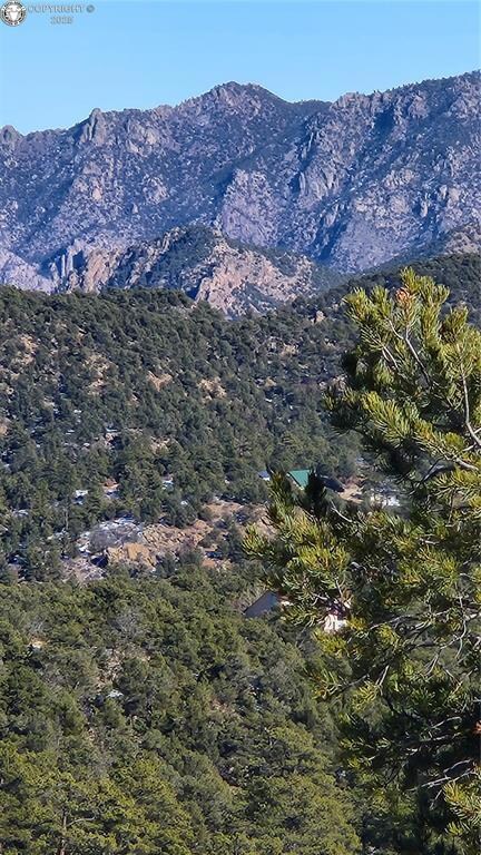 TR-82 35th Trail, Cotopaxi, CO 81223 - photo 5