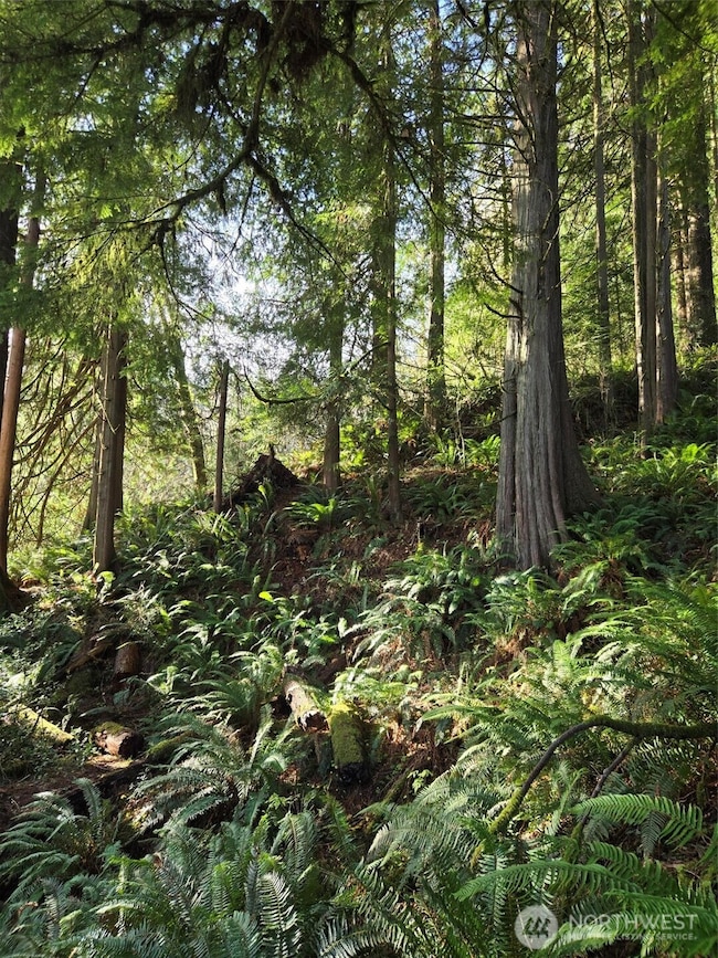 0 NKA Kendrick and Wier St, South Bend, WA 98586 - photo 4