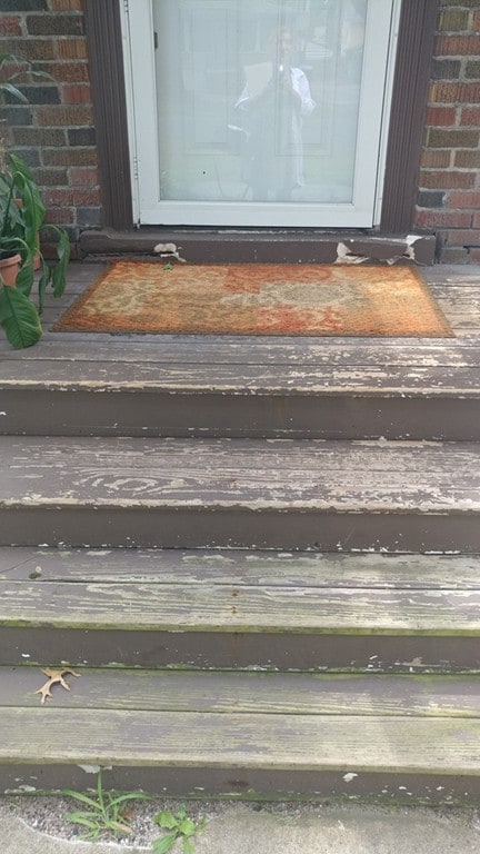 221 Norfolk St, Springfield, MA 01109 - photo 3