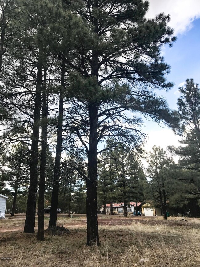 2430 W Sylvester Dr, Show Low, AZ 85901 - photo 2