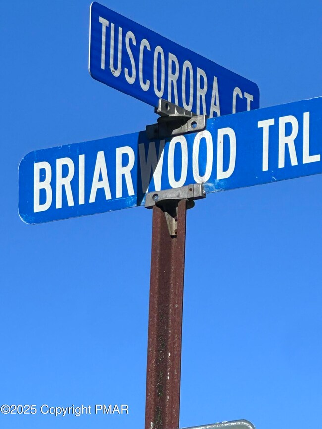 Lot 55 Tuscarora Ct, Beach Lake, PA 18405 - photo 2