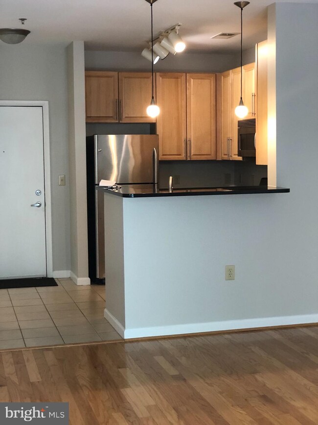 Silverton Condominiums, Silver Spring, MD 20910 - photo 4